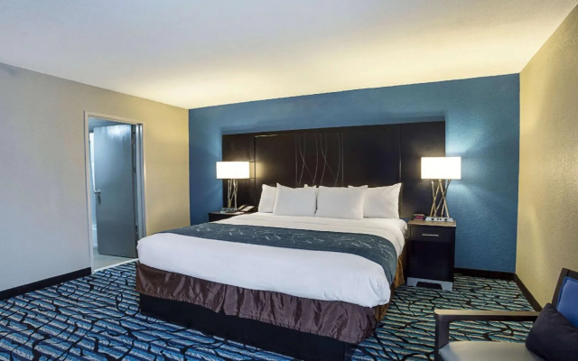 photo 5 of Comfort Suites University