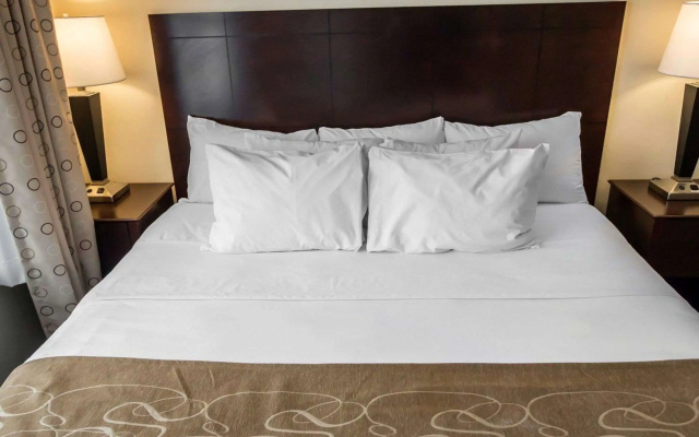 photo 3 of Comfort Suites University Area Notre Dame - South Bend