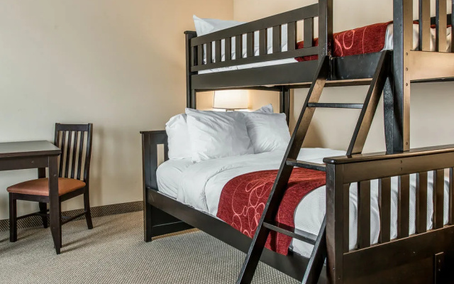photo 3 of Comfort Suites South Bend