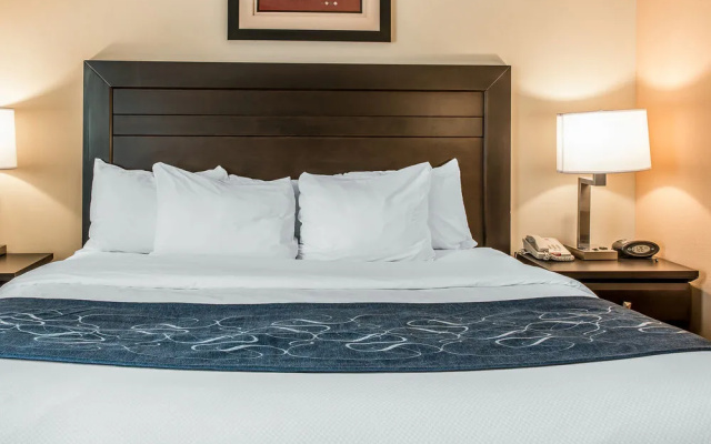 photo 5 of Comfort Suites South Bend