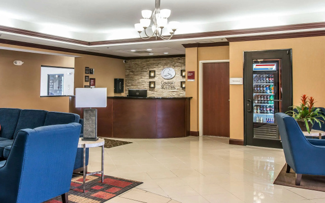 photo 2 of Comfort Suites South Bend near Casino