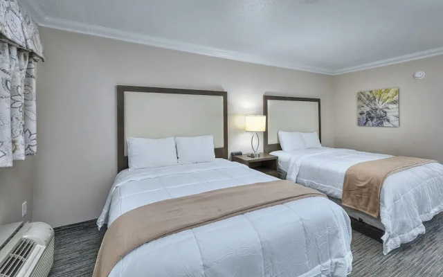 photo 5 of Coral Beach Resort by Elliott Beach Rentals