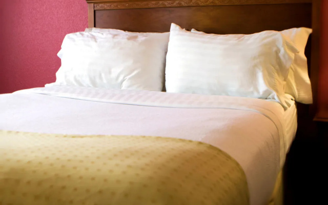 photo 4 of Best Western Premier Airport/Expo Center Hotel