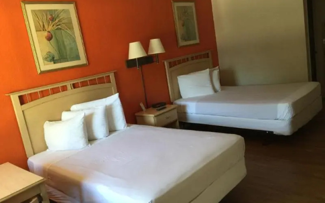 photo 5 of Duo Boutique Hotel