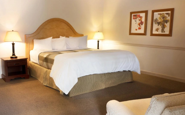 photo 5 of Wine Country Inn