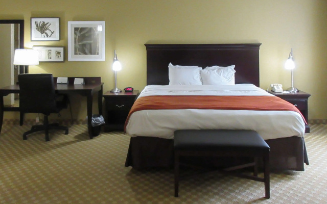 photo 5 of Quality Inn & Suites Alexandria