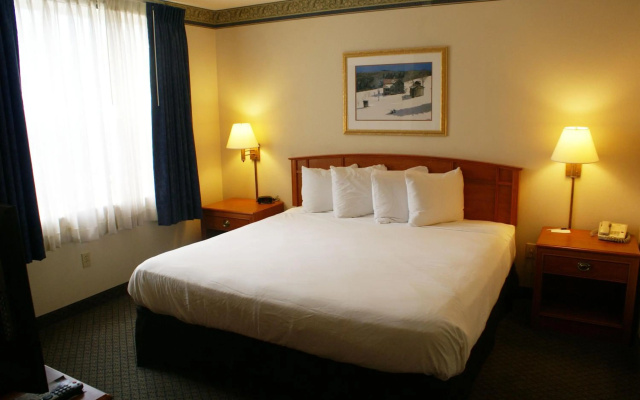 photo 4 of Country Inn & Suites by Radisson, Lansing, MI