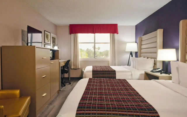 photo 5 of The Palms Inn & Suites