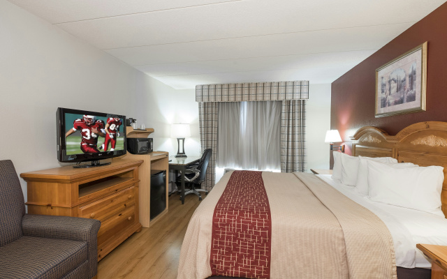 photo 5 of Red Roof Inn & Suites Stafford, VA - Quantico