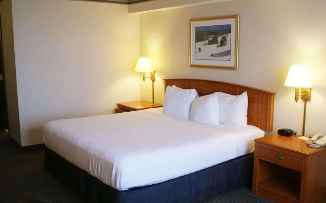 photo 4 of Country Inn & Suites by Radisson, Lansing, MI