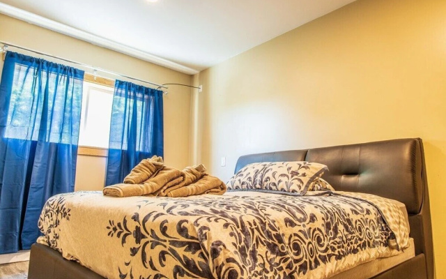 photo 5 of Cozy Fremont Studio With King Bed