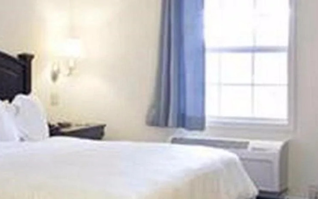 photo 5 of Crimson Inn