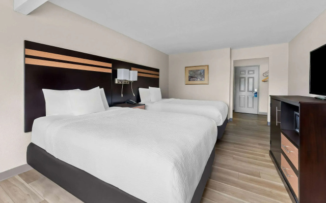 photo 5 of Days Inn by Wyndham Albany SUNY