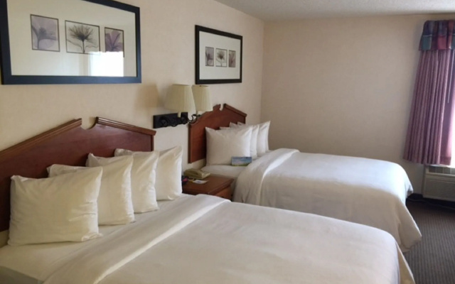 photo 3 of Days Inn & Suites Denver International Airport