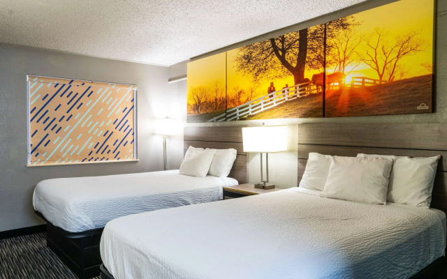 photo 5 of Days Inn by Wyndham Central San Antonio NW Medical Center
