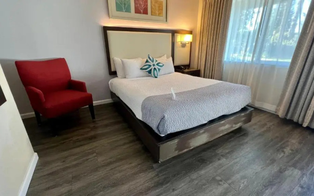 photo 4 of The Palo Alto Inn