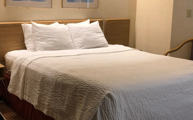 photo 4 of SpringHill Suites by Marriott Pittsburgh Airport 