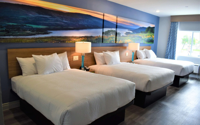 photo 4 of Days Inn & Suites by Wyndham Downtown/University of Houston