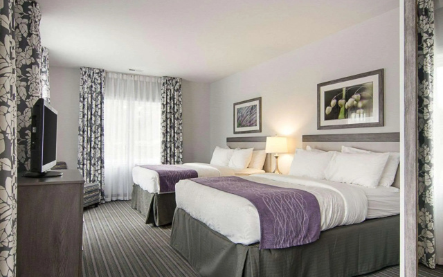 photo 3 of Comfort Inn Williamsburg Gateway