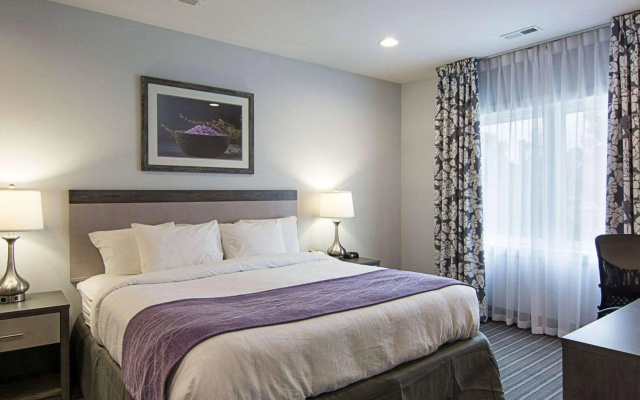 photo 4 of Comfort Inn Williamsburg Gateway