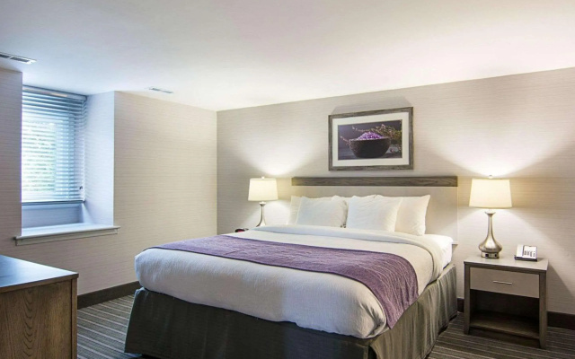 photo 5 of Comfort Inn Williamsburg Gateway