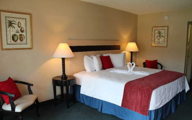 photo 3 of Days Inn-Maingate
