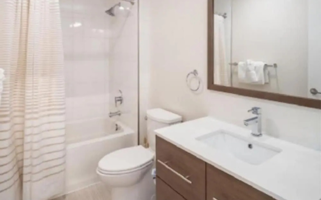photo 5 of Delightful Capital Hill 2 Bedroom 2 Bathroom Apartment in Washington DC 4 Guests