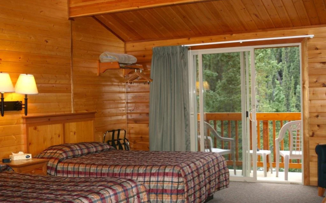 photo 3 of Denali Grizzly Bear Resort