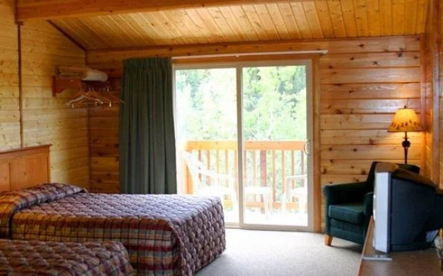 photo 4 of Denali Grizzly Bear Resort