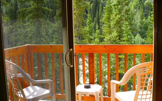 photo 5 of Denali Grizzly Bear Resort