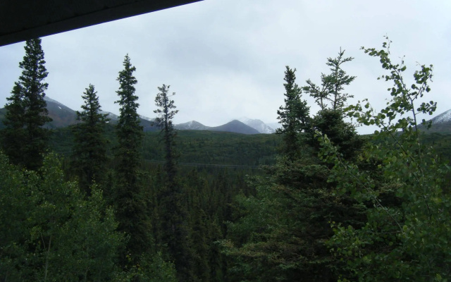photo 3 of Denali Perch Resort