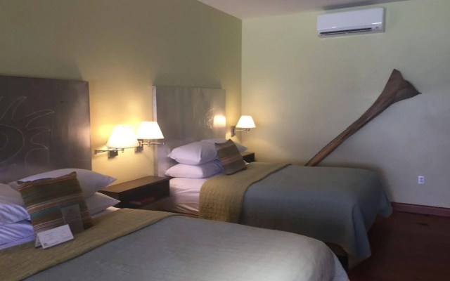 photo 3 of Desert Pearl Inn