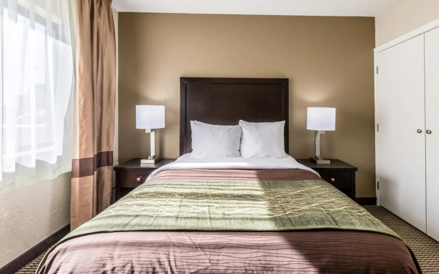 photo 4 of Comfort Inn Detroit Downtown