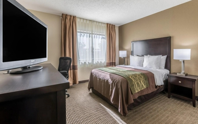 photo 5 of Comfort Inn Detroit Downtown