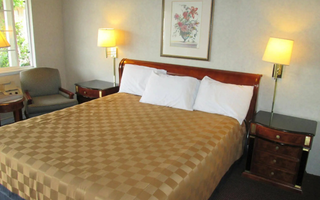 photo 3 of Discovery Inn
