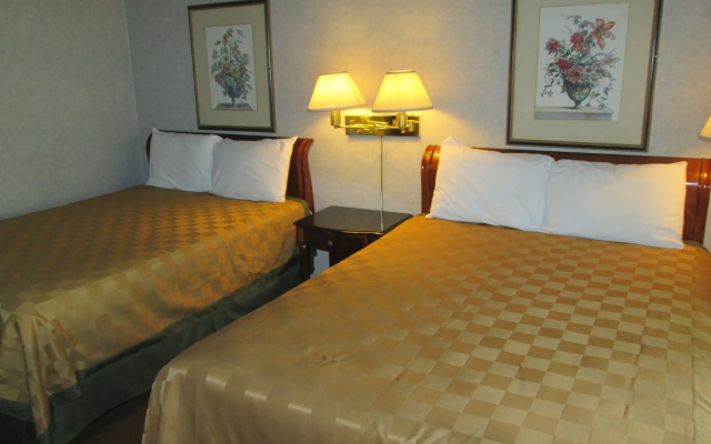 photo 5 of Discovery Inn