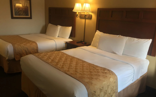 photo 4 of Wander Inn