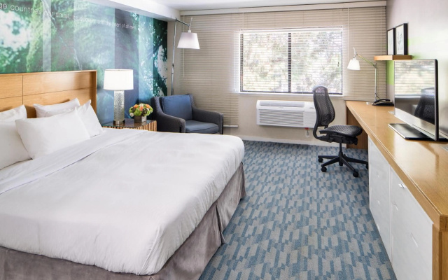photo 3 of The Domain Hotel