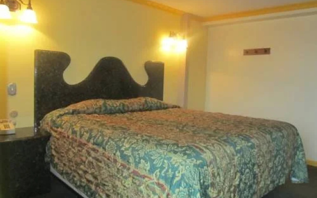 photo 3 of Domino Motel