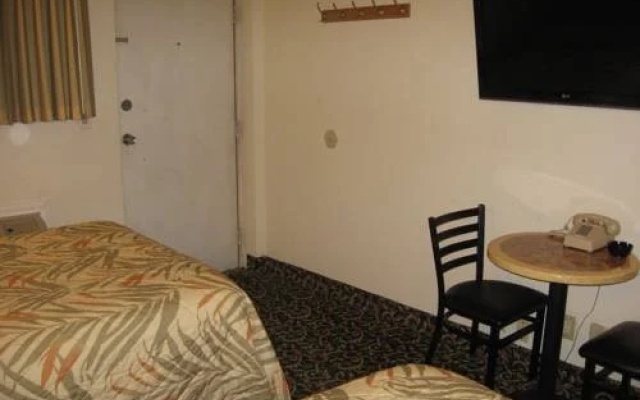 photo 5 of Domino Motel