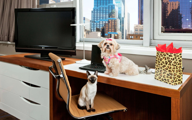 photo 4 of DoubleTree by Hilton Hotel Metropolitan - New York City