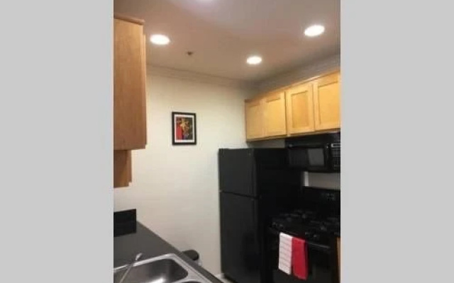 photo 4 of Downtown Resort Style, Unit 2O