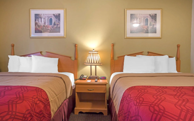 photo 3 of Econo Lodge