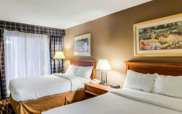 photo 4 of Econo Lodge