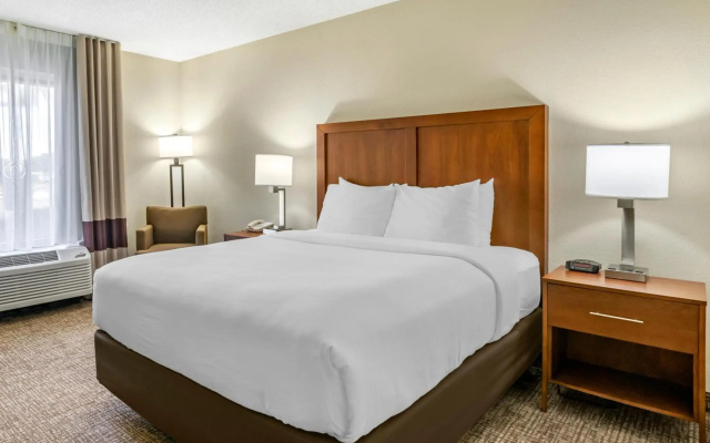 photo 3 of Comfort Inn & Suites St. Pete - Clearwater International Airport