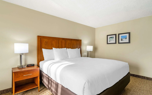 photo 4 of Comfort Inn & Suites St. Pete - Clearwater International Airport