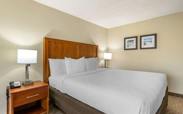 photo 5 of Comfort Inn & Suites St. Pete - Clearwater International Airport