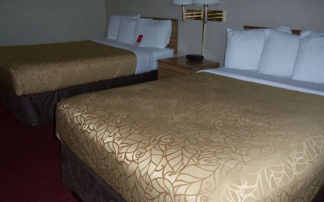 photo 5 of Econo Lodge Arena Wilkes Barre