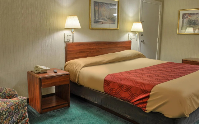 photo 5 of Knights Inn Ashland (Virginia)