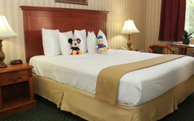 photo 3 of Econo Lodge Maingate